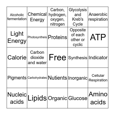 Chemistry of Life Bingo Card