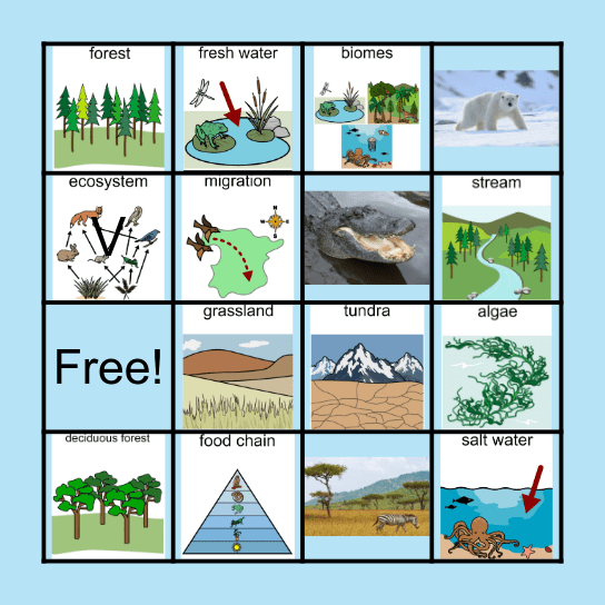 Ecosystems Bingo Card