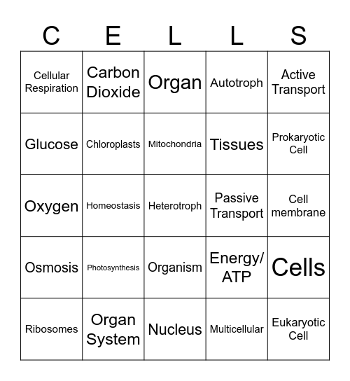 CELLS STUDY BINGO Card