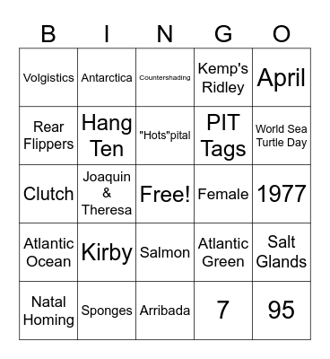 Volunteer Party Bingo Card