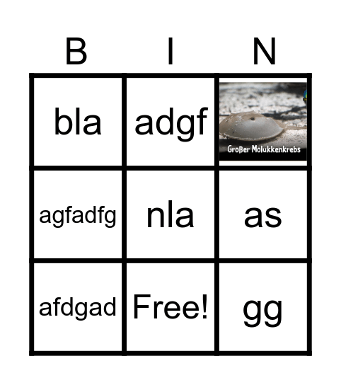 Tierbeschreibungsbingo Card
