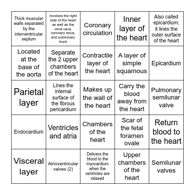 Anatomy of the heart Bingo Card