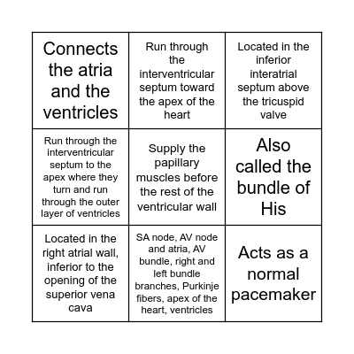 Conduction pathway of the heart Bingo Card