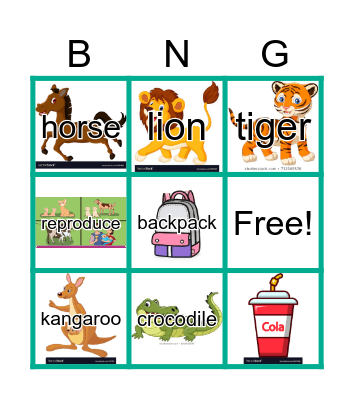 Living & Non-things! Bingo Card