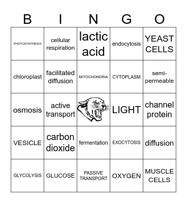 CH2 LSN3&4 CELLULAR MOVEMENT Bingo Card