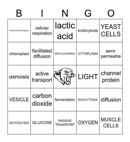 CH2 LSN3&4 CELLULAR MOVEMENT Bingo Card