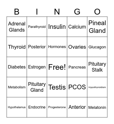 Endocrine System Bingo Card