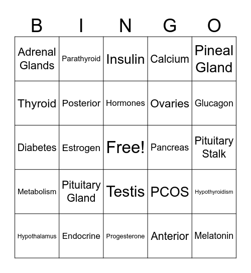 Endocrine System Bingo Card