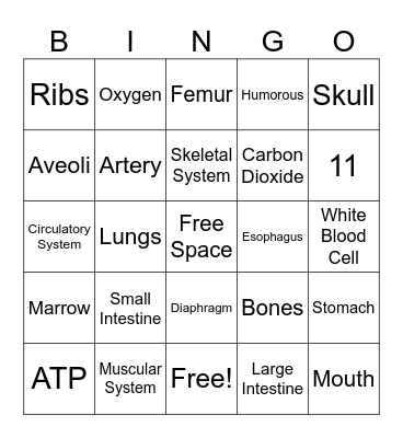 Body Systems Bingo Card