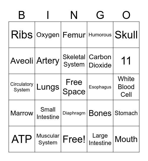 Body Systems Bingo Card