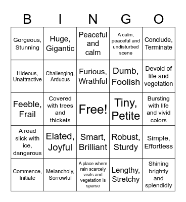 Descriptive Adjectives Bingo Card