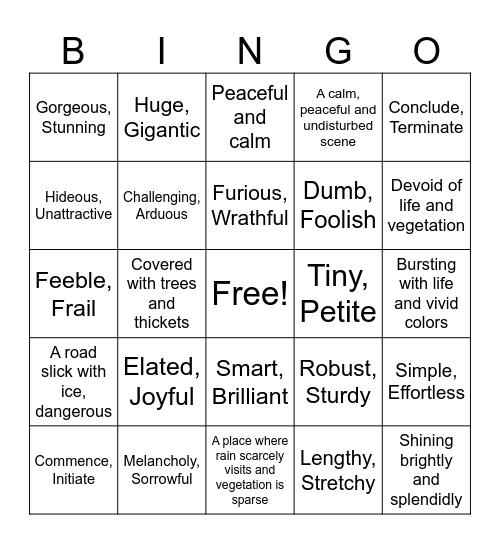 Descriptive Adjectives Bingo Card