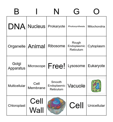 Cell BINGO Card