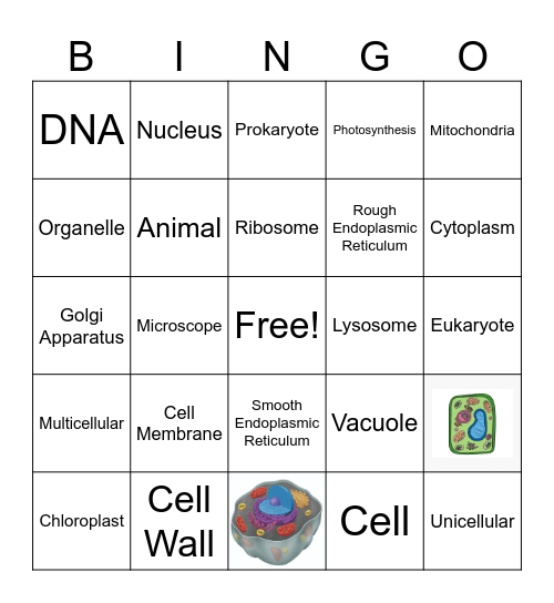 Cell BINGO Card