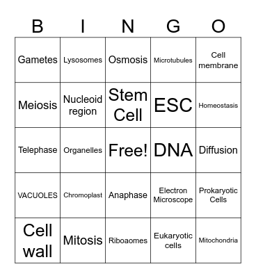 Animal Science 3/4 Bingo Card