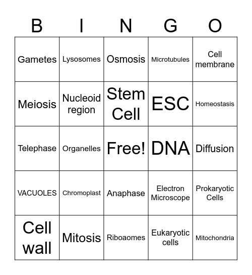 Animal Science 3/4 Bingo Card