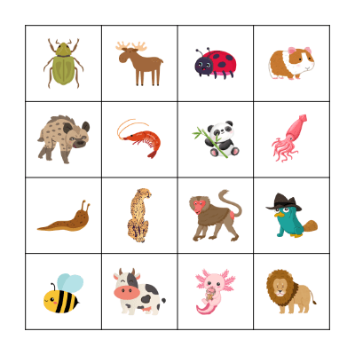 Animals Bingo Card