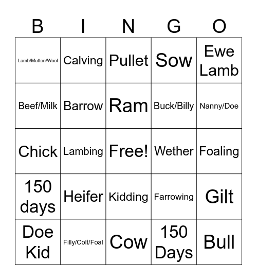 Livestock Terminology Bingo Card