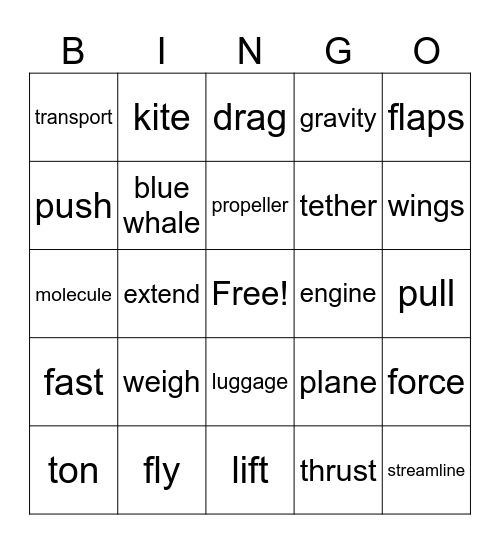 LEGO: How do planes fly? Bingo Card