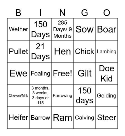 Livestock Terms Bingo Card