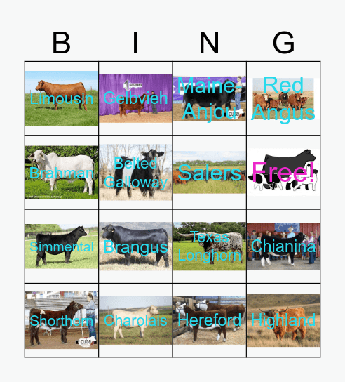 Cattle Breed Bingo Card