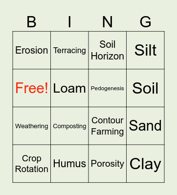 Soil Bingo Card