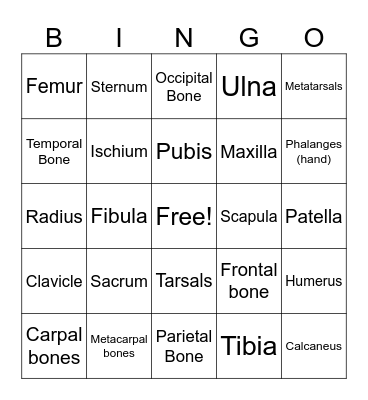 Skeletal System Bingo Card