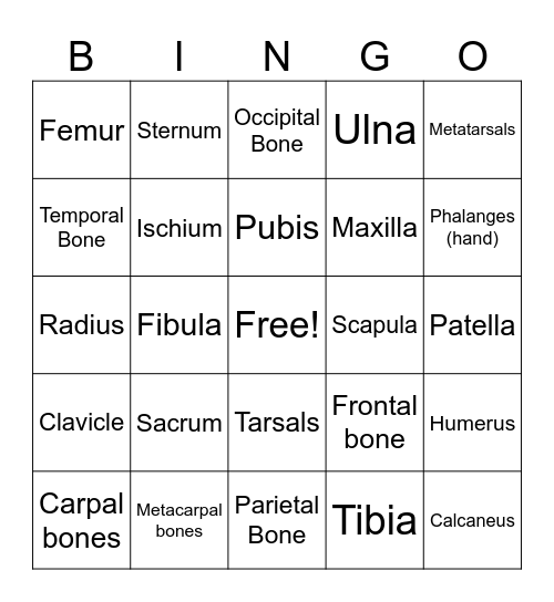 Skeletal System Bingo Card