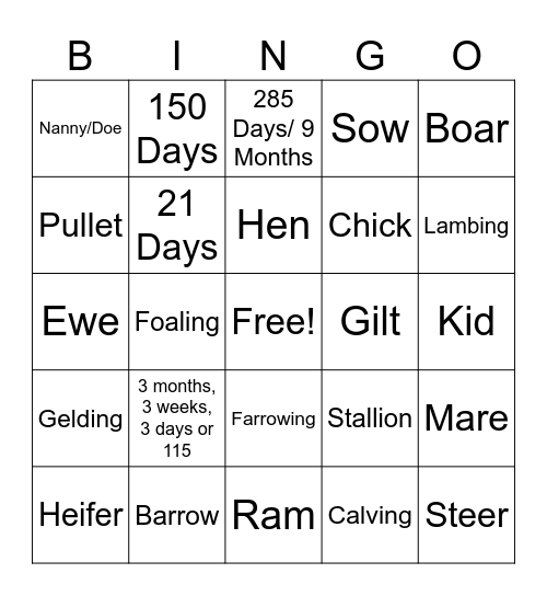 Livestock Terms Bingo Card