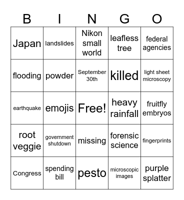 CNN 10 9/24/24 Bingo Card