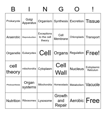 Unit 3 Bingo Card