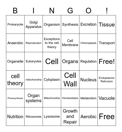Unit 3 Bingo Card