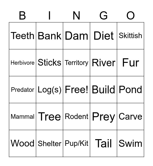 Beaver Bingo Card