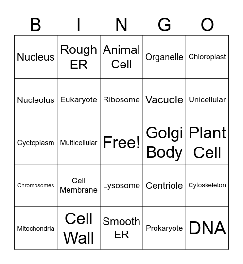 Cell Organelle Function BINGO! Bingo Card