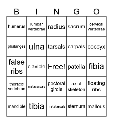 Skeletal System Bingo Card