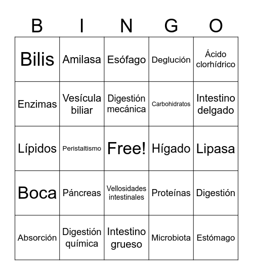 Sistema Digestivo Bingo Card