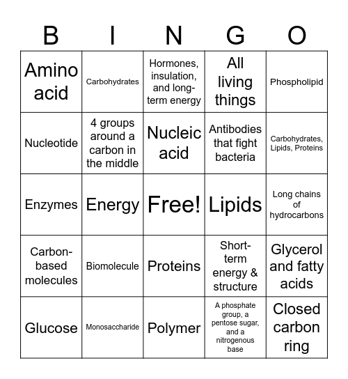 Biomolecules Bingo Card