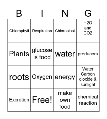 Photosynthesis Bingo Card