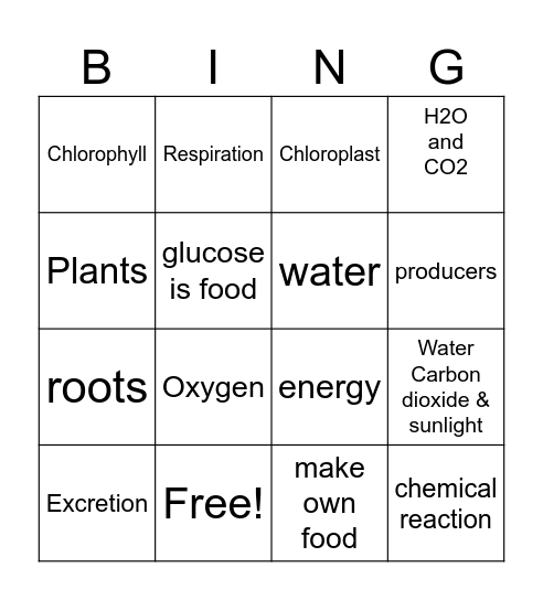 Photosynthesis Bingo Card