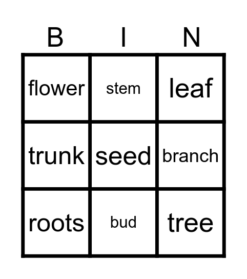 Parts of a tree Bingo Card