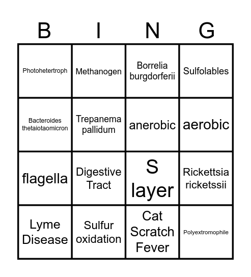 Prokaryotic Diversity Bingo Card