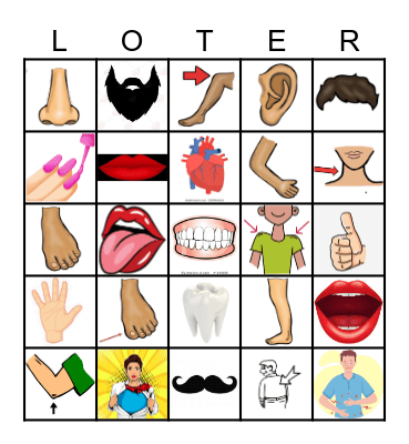 El Cuerpo Bingo Card