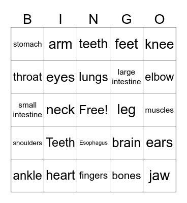 Body Part Bingo Card