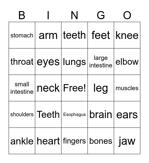 Body Part Bingo Card