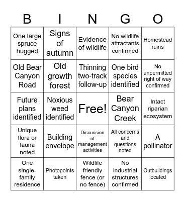 Ciufolo CE Bingo Card