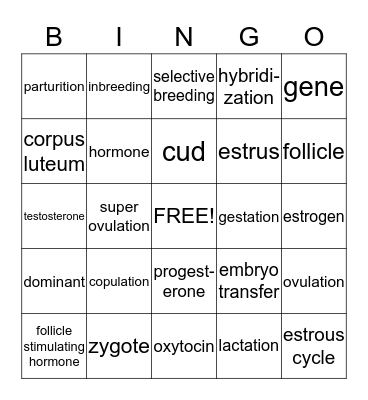 Animal Reproduction Bingo Card