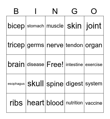 Human Body Bingo Card