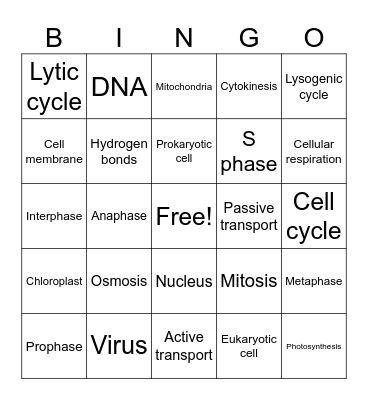 Biology Vocabulary Review Bingo Card