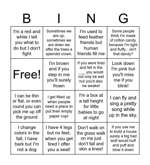 Country Jewels Scavenger Hunt Bingo Card