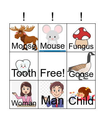 Irregular Plural Nouns Bingo Card